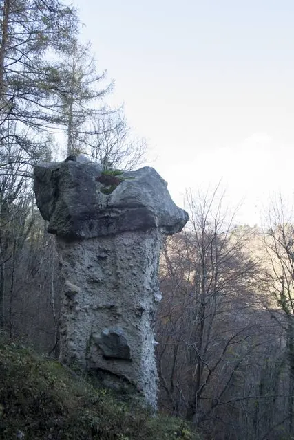 Funghi di terra di Rezzago