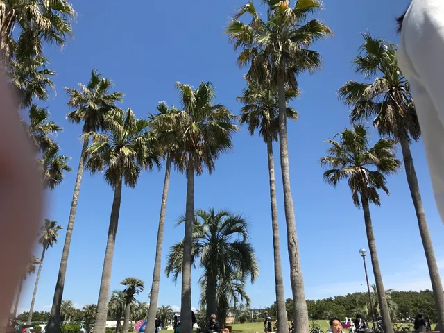 Tsujido Seaside Park Traffic Education Park