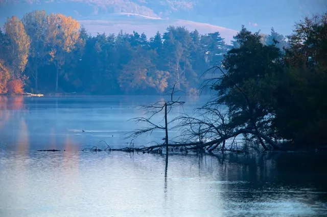 Kagawakenkinbuchi Forest Park