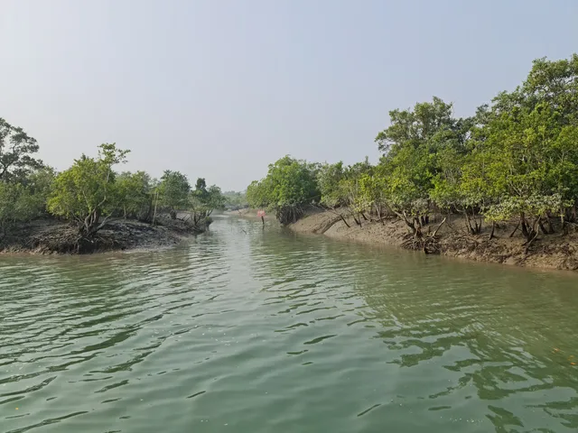 Sundarban National Park (West Bengal)
