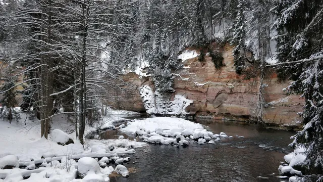 Kiidjärve - Taevaskoja - Valgesoo - Kiidjärve hiking trail