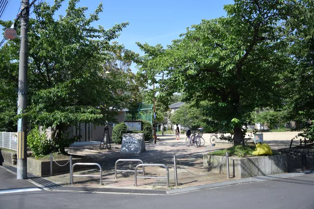 photo-3