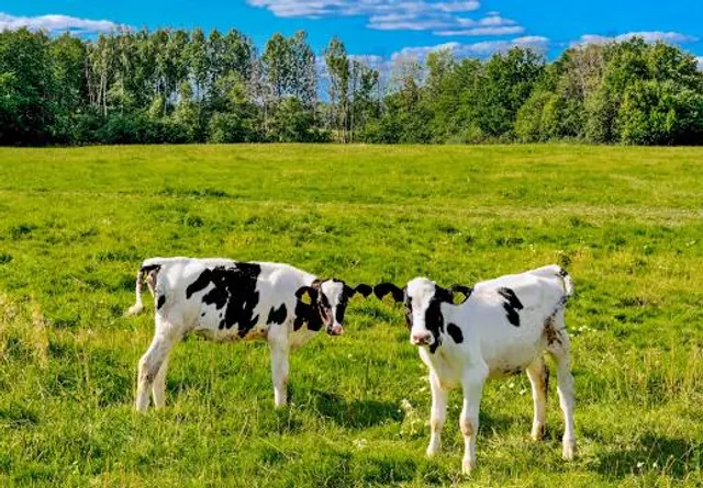 Varniai Regional Park