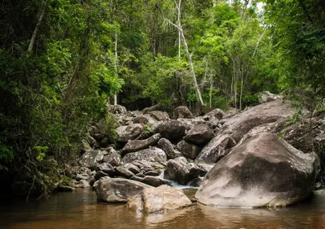 Parque Cachoeira das Andorinhas