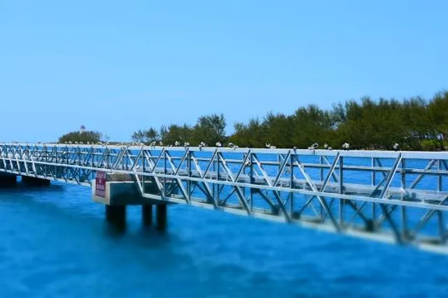 photo-2