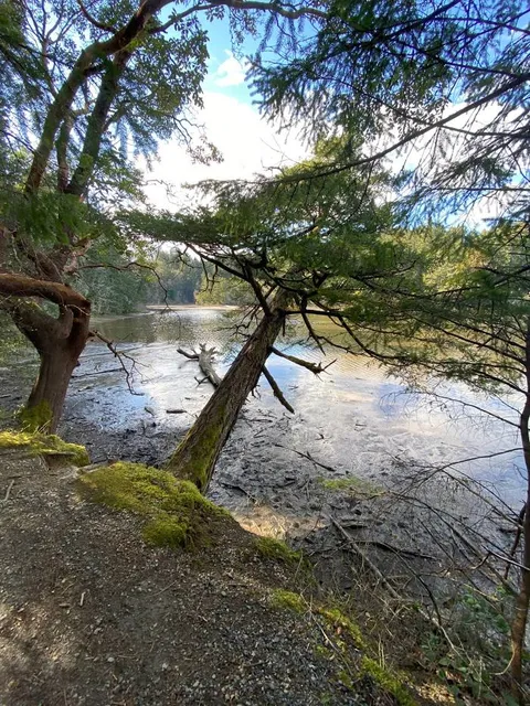 Witty's Lagoon Regional Park