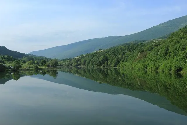 Bela Palanka Municipality