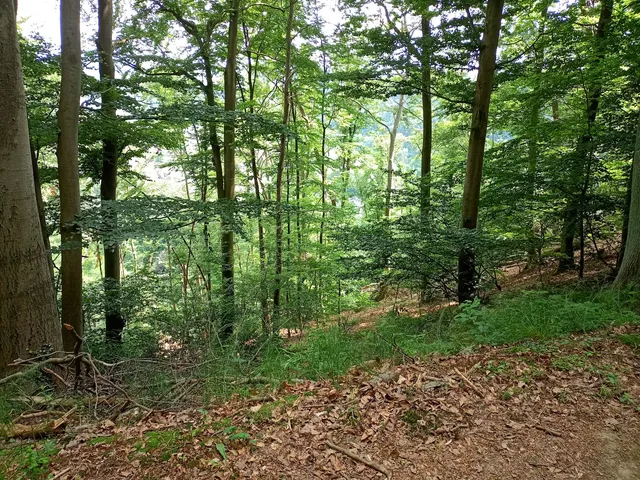 Künstlerweg | Erlebnisweg Sieg | Windeck -Herchen