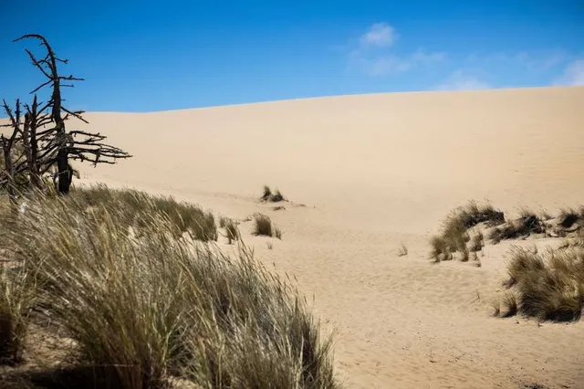 John Dellenback Dunes Trailhead