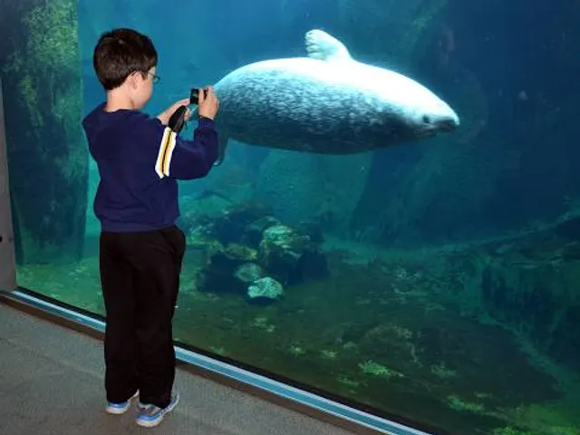 Alaska SeaLife Center