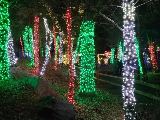 ZOOLIGHTS