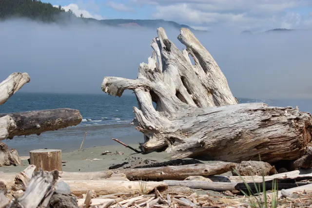 Pacheedaht Campground