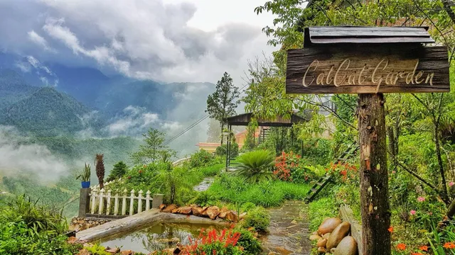 CATCAT GARDEN (Home - Restaurant - Cafe)