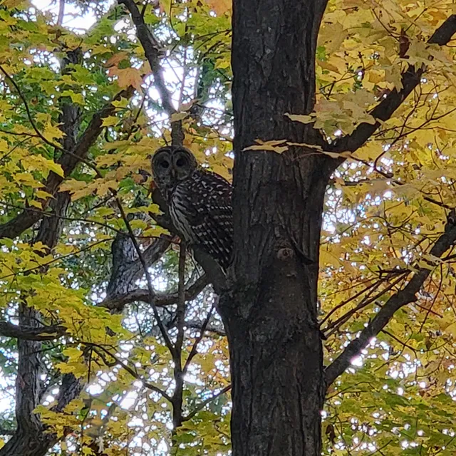 Franconia Bluffs Scientific and Natural Area