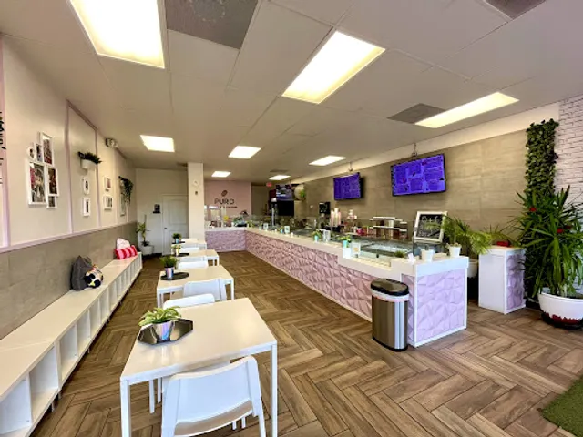 P U R O - Ice Cream Factory