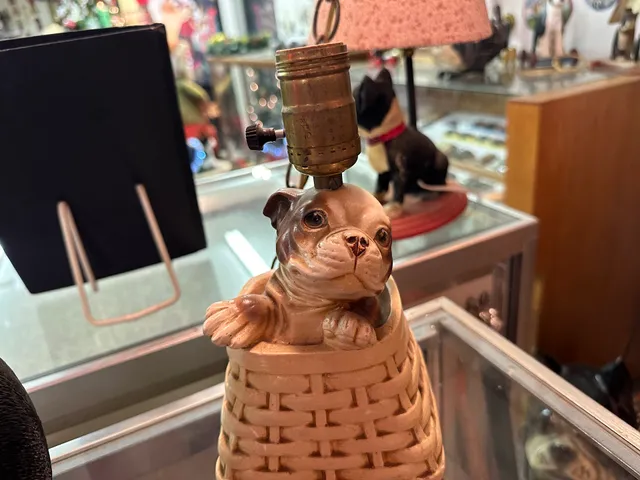 Boston Terrier Museum