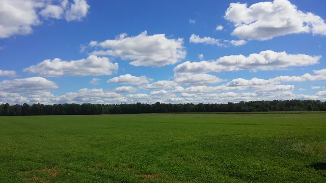 Mayfield Road Creamery
