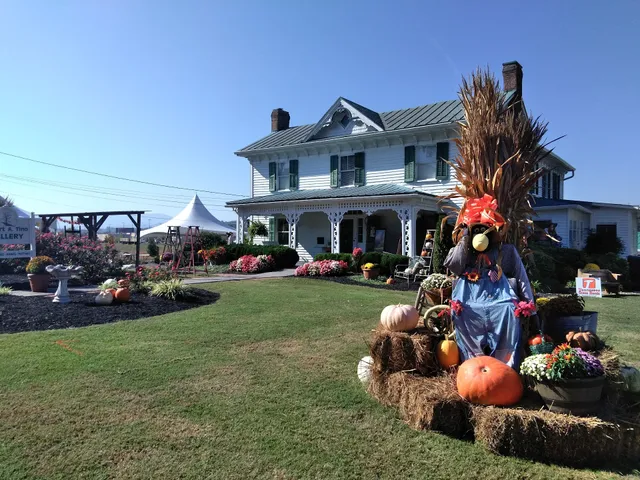 Robert A. Tino Gallery