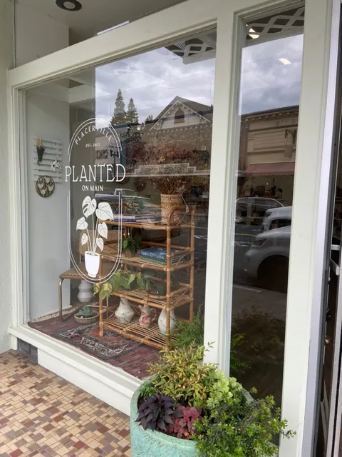 Planted on Main- the original home of Flowers on Main