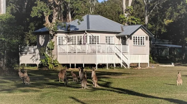 Lake Weyba Noosa Lodge & Friendly Kangaroos