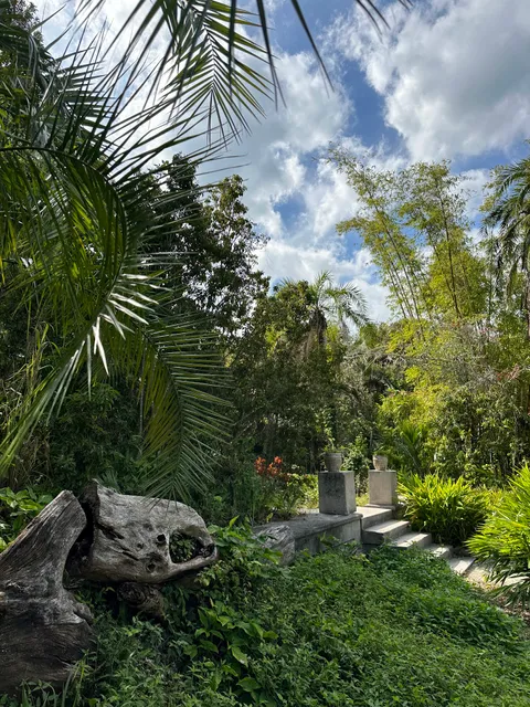 BUTTERFLY HOUSE Marie Selby Gardens Spanish Point