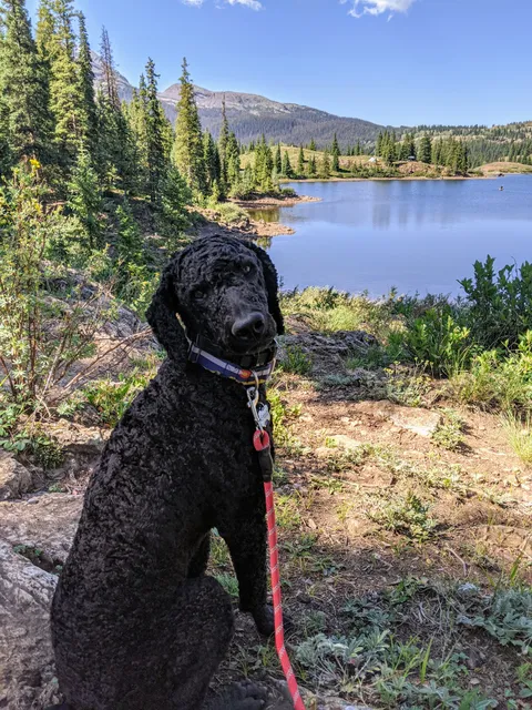 Molas Lake Park & Campground