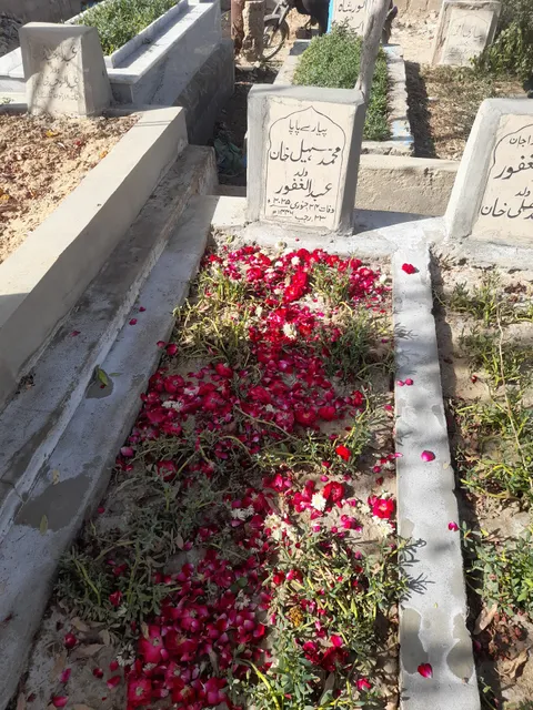 Muhammad Shah Graveyard