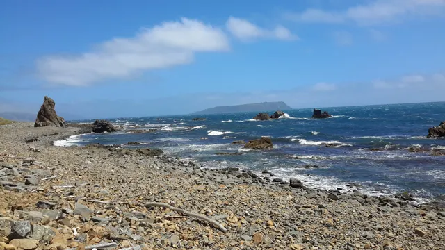 Pukerua Bay Scientific Reserve