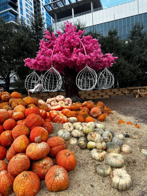 Houston Pumpkin Fest