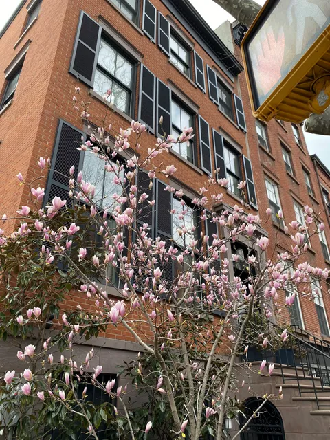 Marissa Alperin Studio