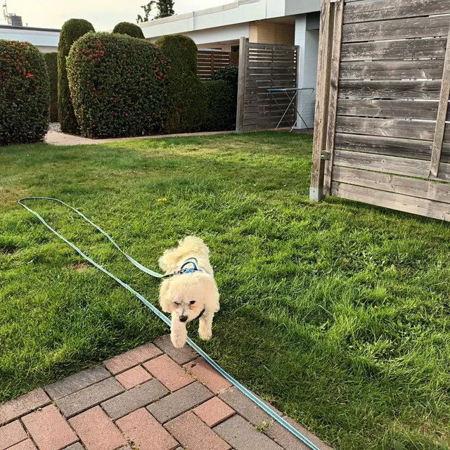 Ferienwohnung Haus Marie
