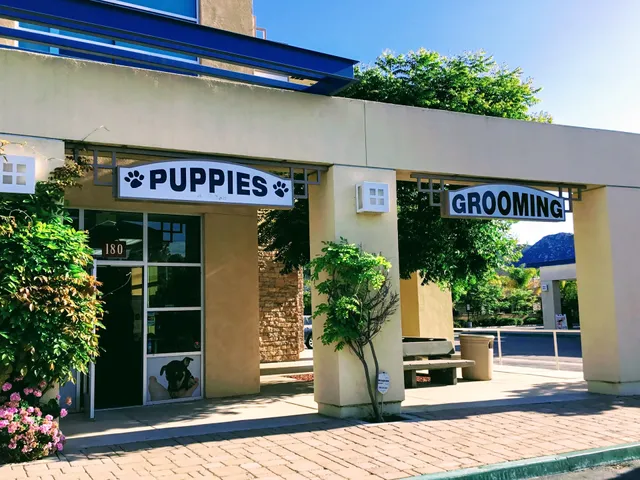 Temecula Creek Village Shopping Center