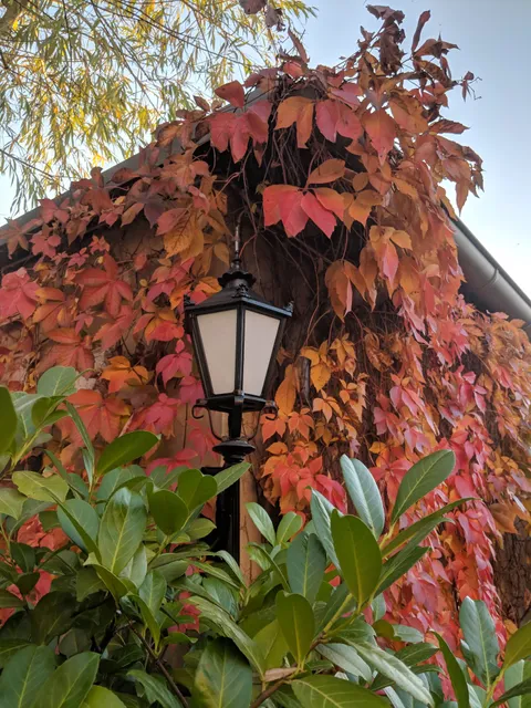 Ferienwohnung Mittenentzwei