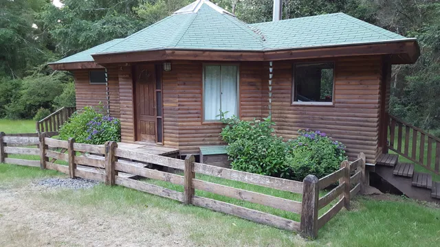 Aurora Austral Patagonia Husky