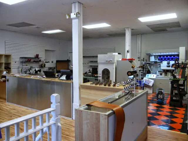 Handbag and Shoe Doctor