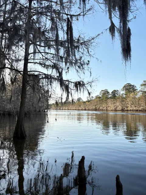 Big Cypress Bayou Boat Landing