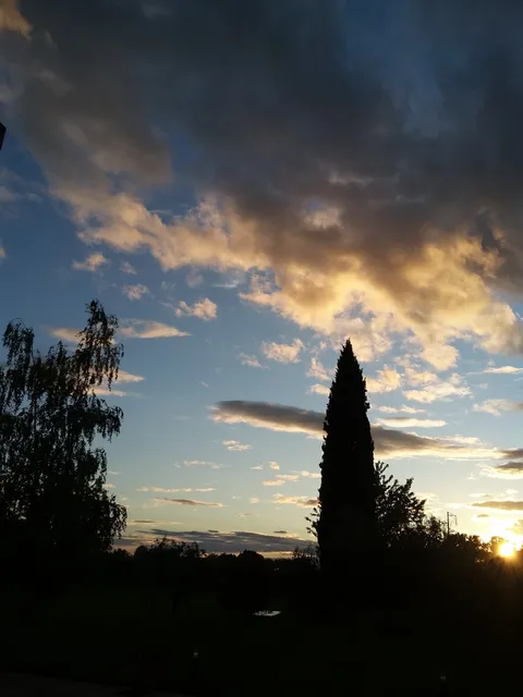 Congregazione Missionaria delle Sorelle di Santa Gemma