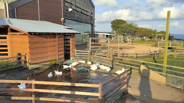 Mother Farm Glamping