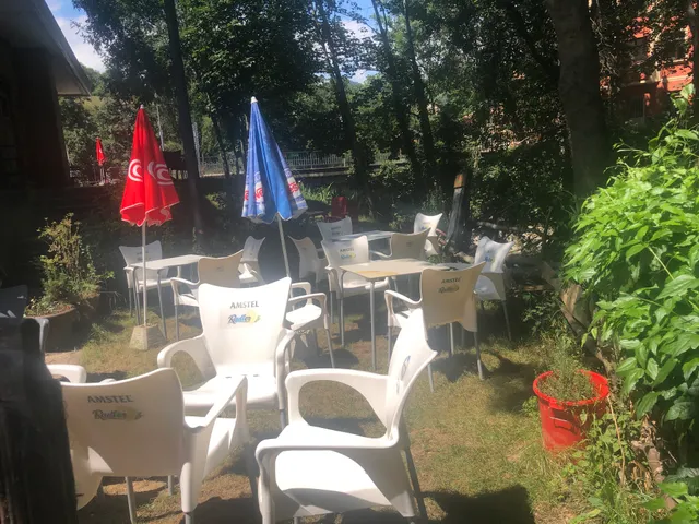 photo-1
