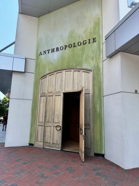 Anthropologie