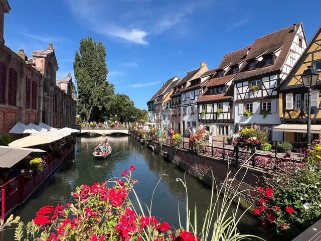 Les Hauts de Colmar Gite 4 / 7 personnes