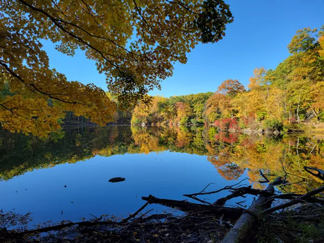 Blue Mountain Summit Trail Head