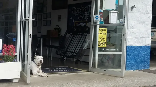 Goodwill Industries of the Columbia Willamette