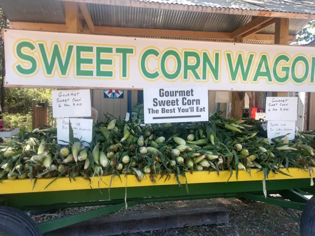 Artesian Well Produce and Spring water