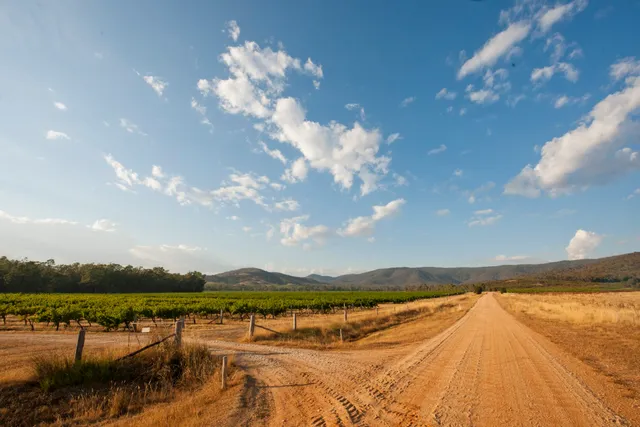 Blue Pyrenees Estate