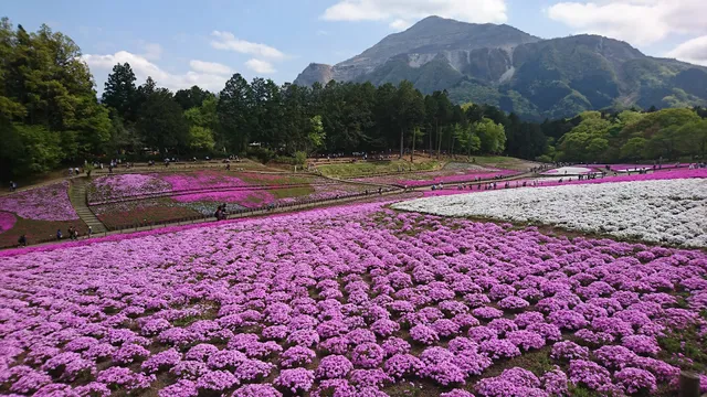 Hitsujiyama Park Management Office