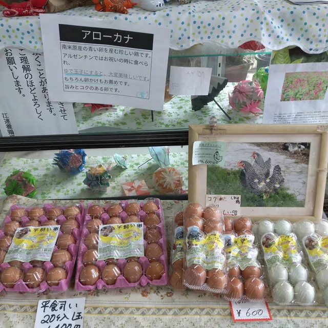 (有)江連養鶏場 （江連ファーム）