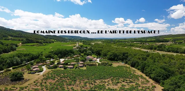 Domain Des Bridoux