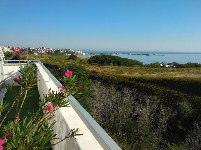 Bed&breakfast Albysuite