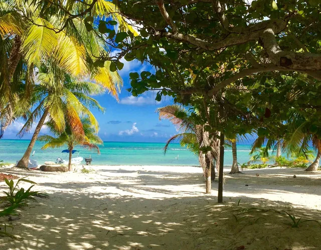 The Ascension Bay Bed and Breakfast